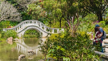  沙田公園 